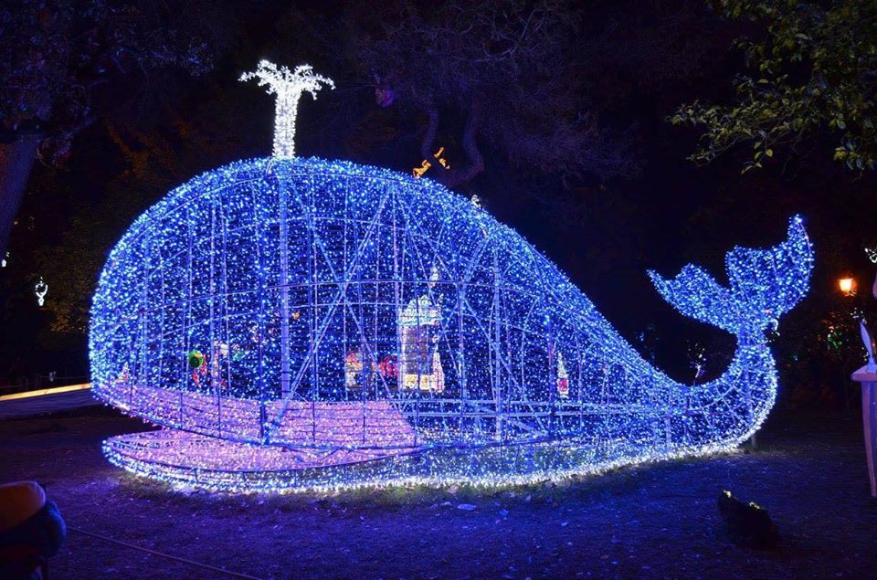 luminarie-di-salerno.jpg?w=960