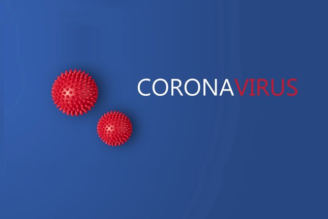 imba-red-coronavirus.jpg_328587171.jpg?w=645